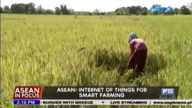 ASEAN: Internet of things for smart farming