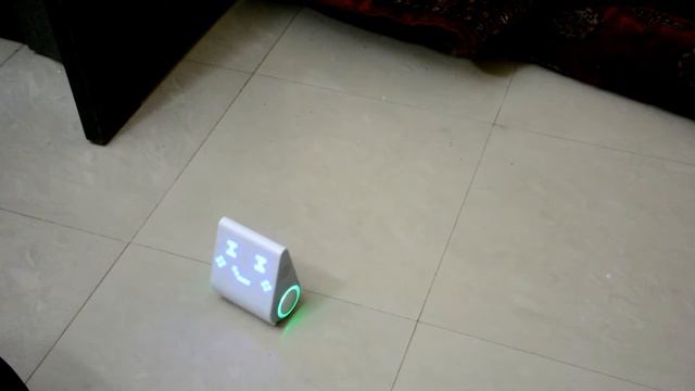 Codeybot: Second Look - Stunts and More