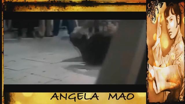 МОИ ЗВЁЗДЫ VHS  АНДЖЕЛА МАО  (Angela Mao)