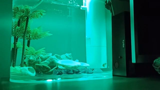 Xiaomi HF-JHYGZH001 Descriptive Geometry Ecological Fish Tank Aquarium LED Light Color Changing