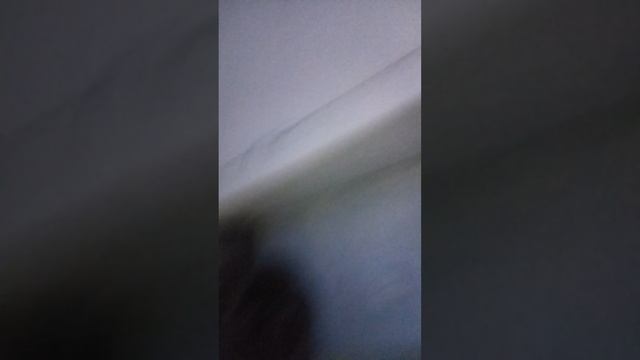 VID_20250228_074321