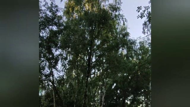 УБИЙЦА МОЕГО БРАТА (НАЧАЛО)/ Мистические аудиорассказы от подписчиков канала Часть 45