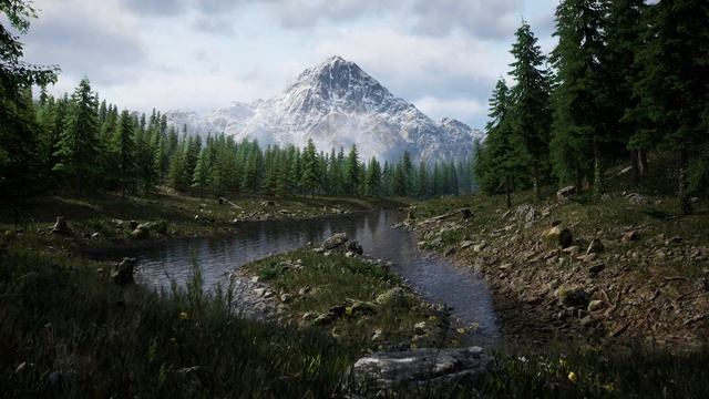 Unreal engine forest environment