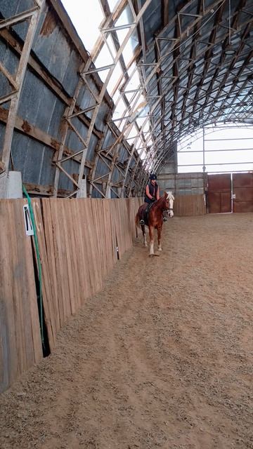 Вика и Каспер, упражнение плечо внутрь, в хорошем исполнении. #horse, #equestrian, #лошади, #pony