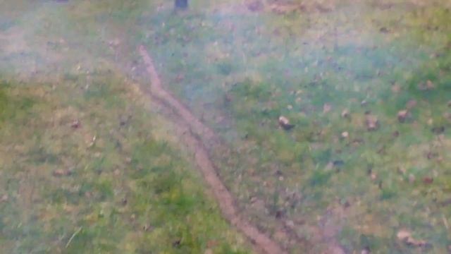 Reifen drehen mit Schwalbe