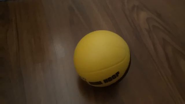 dunk shoot sklz pro mini hoops