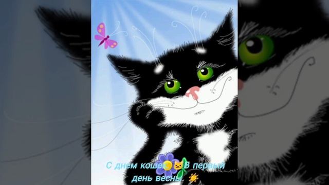 С днем кошек. 1 Марта.🐱