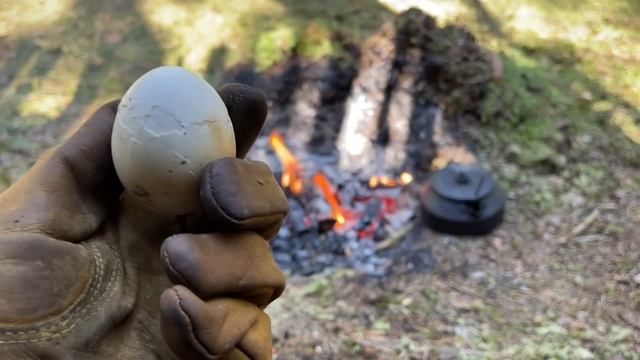 Примитивное Укрытие - 3 дня в одиночестве в ЛЕСУ - вода из сфагнума и суп из крапивы