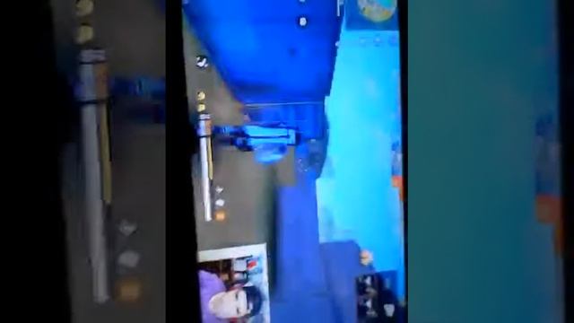 Reaccionando a ramirin y papi edson  en pvp