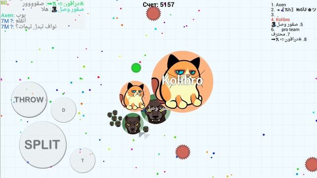BEST SOLO GAMEPLAYS IN BLOB.IO MOBILE ( Game Like Agar.io )