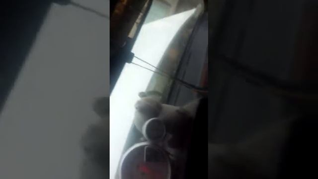 Fiat 600 y fiat regatta sonido