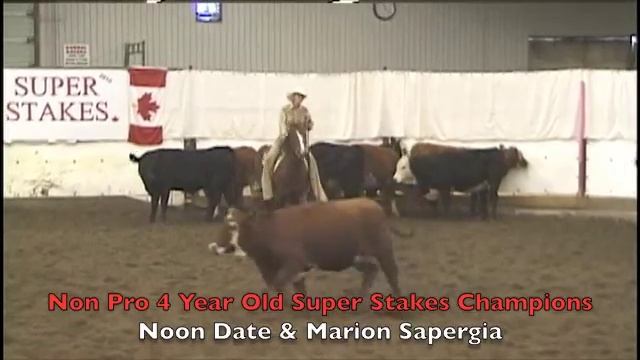 SS 2010 Non Pro 4 Year Old Champion