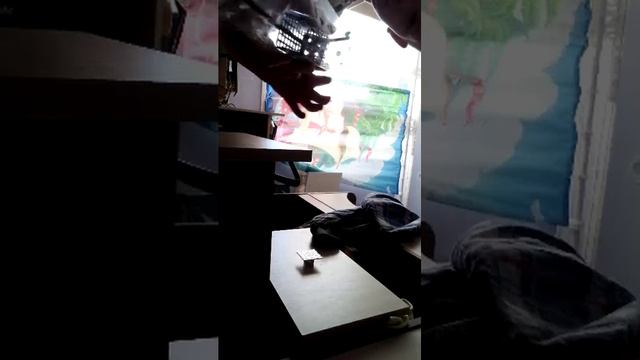 трансляция