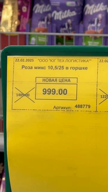 Засохшие и завядшие цветы по 1000 рублей в одном из Магазинов Донецка