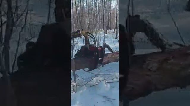 Трактор🚜 Т-40. Самодельный лесо захват