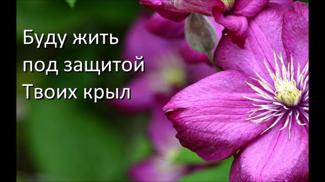 Радуйся Мир! - Буду жить под защитой