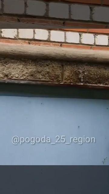 «Закрывайте окна»: приморцев предупредили о новой опасности с улицы