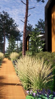 Репино парк: прогулка из бани к террасе дома.