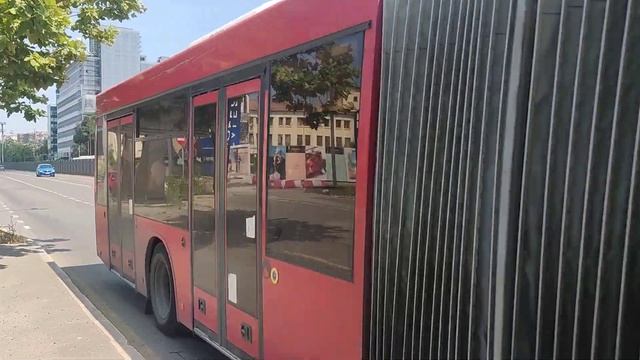 Maz 215