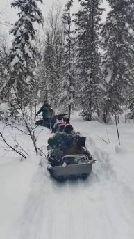 30 Снегоход с санями с собакой и человеком Зимняя тайга Сибирь