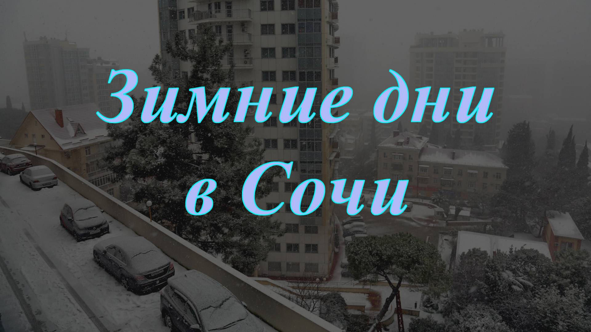 Зимние дни в Сочи