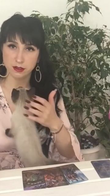 ОН В ВАС НУЖДАЕТСЯ 🐈⬛🐈