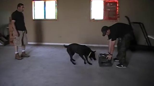 Coda6