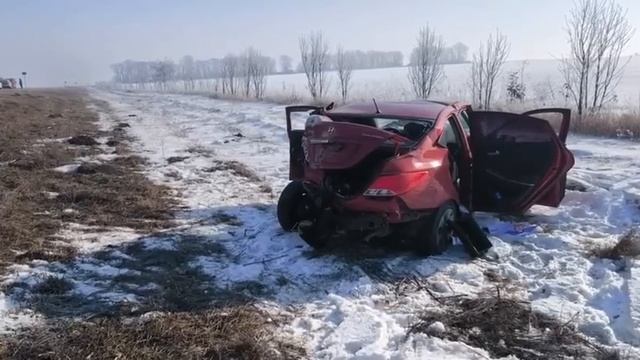 В массовом ДТП в Курской области погибли четыре человека