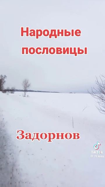 Народные пословицы Задорнов!