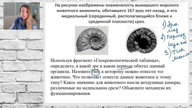 Эры и периоды
