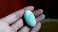 #Natural #Batu #Fosfor #Asli1000%