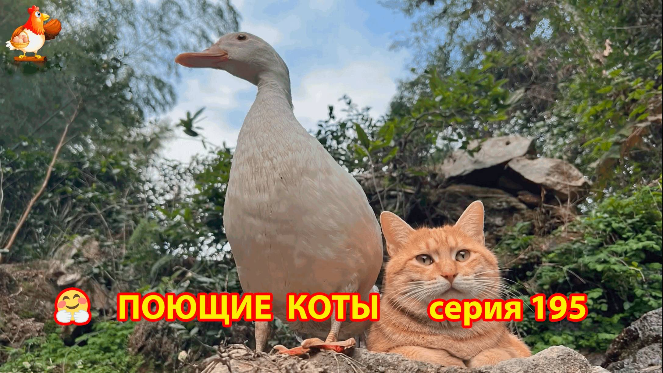 Крутые коты у птичьего двора серия (195) 🐈🐈😹 Природа Абхазии и подворье с птицами и животными ❣