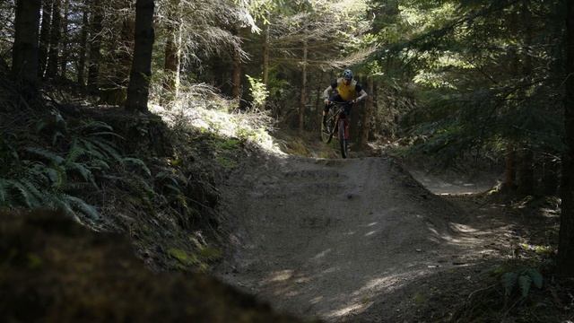 E-Bike Buying Guide