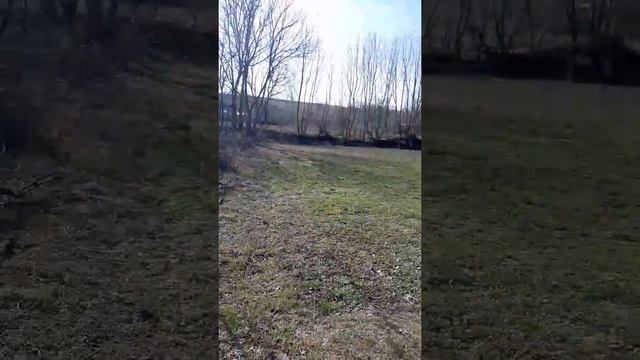 последний день зимы...