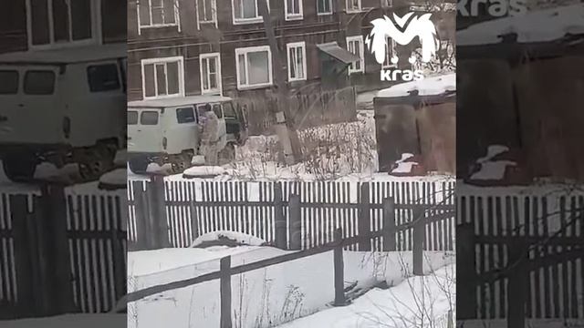 Шушенское