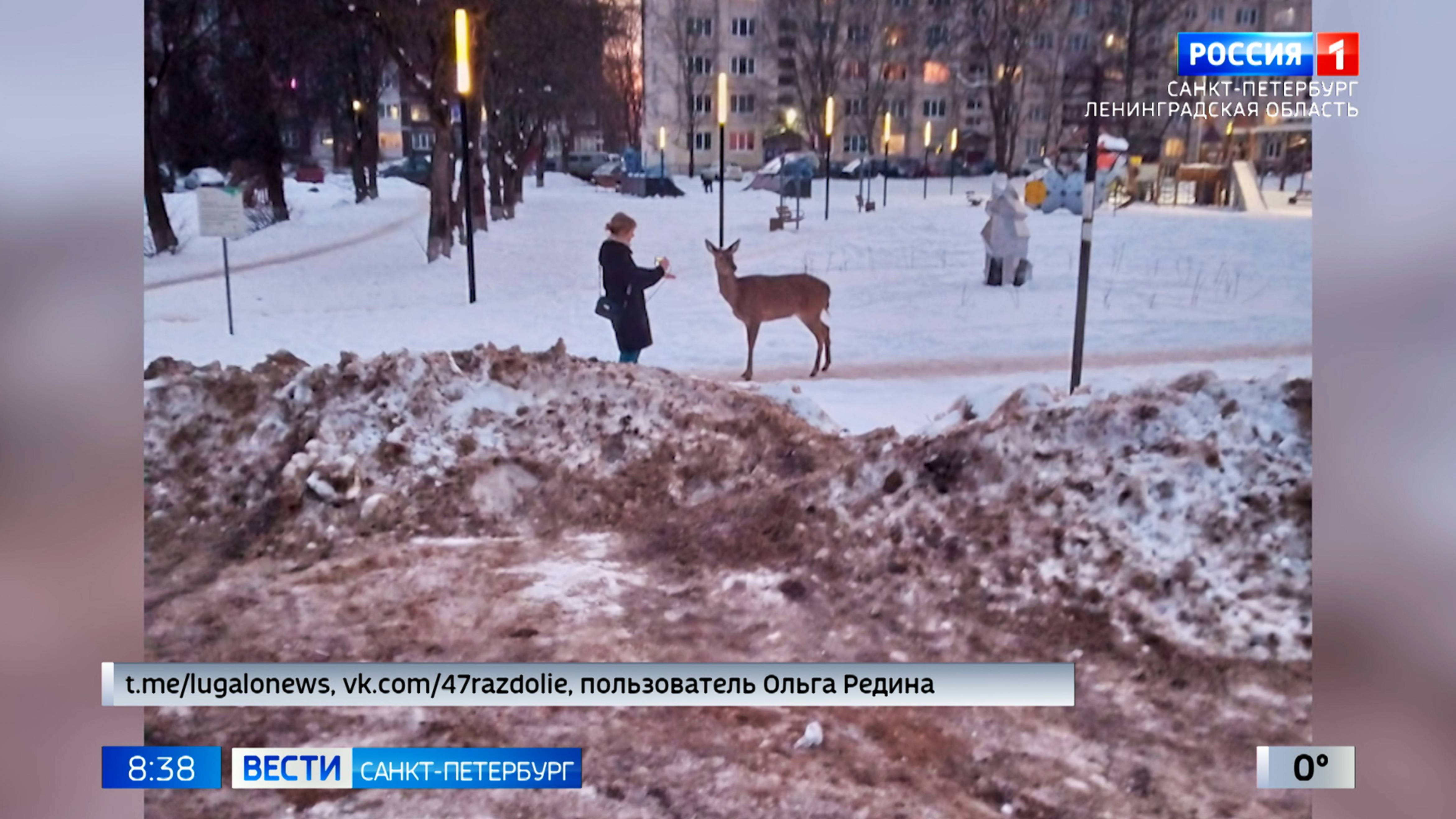 Вести Санкт-Петербург. Выпуск 08.35 от 28.02.2025