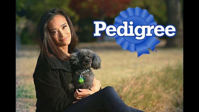 Pedigree (sample commercial)