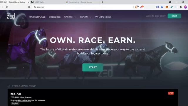 ZED : Build an empire with your own champion racehorses.