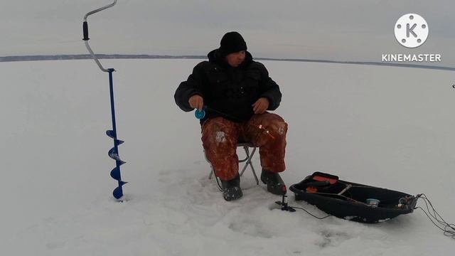 Возможно ли поймать рыбу,с обеда до темна.