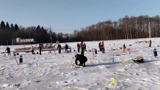 Видеообзор с водоёма