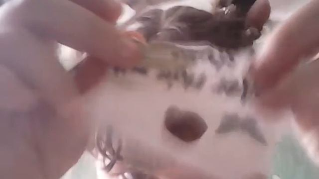 Как сшить юбку солнышко без нитки и иголки !!! Новый способ !!!😄😃😊
