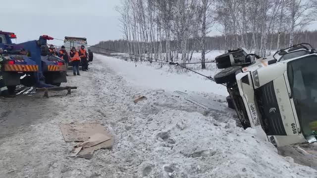 Видео WhatsApp 2025-02-03 в 19.31.38_15ae87e7