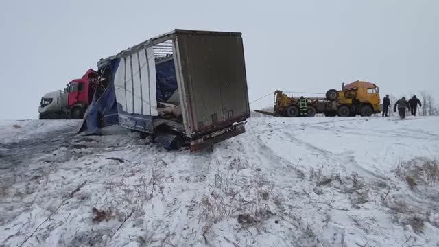 Видео WhatsApp 2024-12-07 в 13.19.05_b718abd0