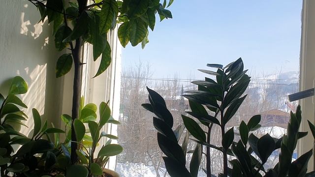 Кружева