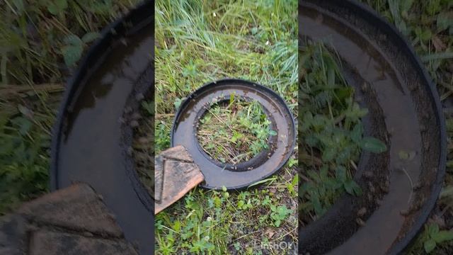 Пасека с нуля, первая в моей жизни кочевка.