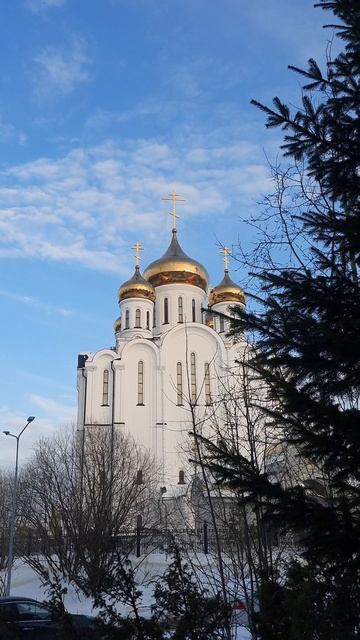 28 февраля _ День_Памяти÷