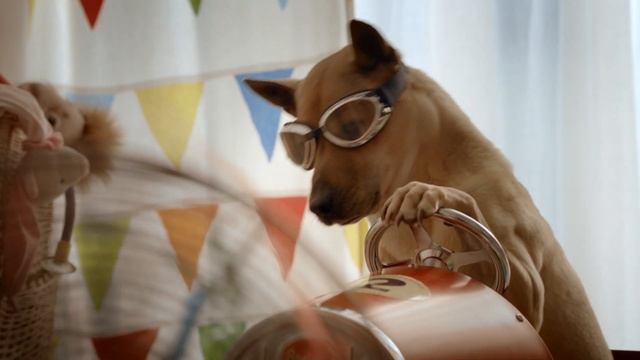 TV-spot Voor De Smart Energy Box Van Electrabel - Hond (NL) 2012.mpeg