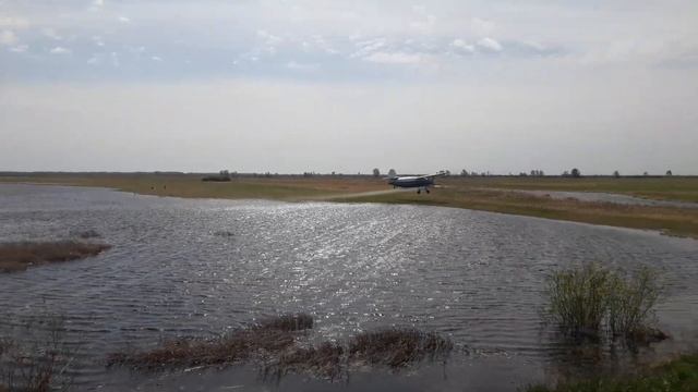 В Павлодаре травят комаров