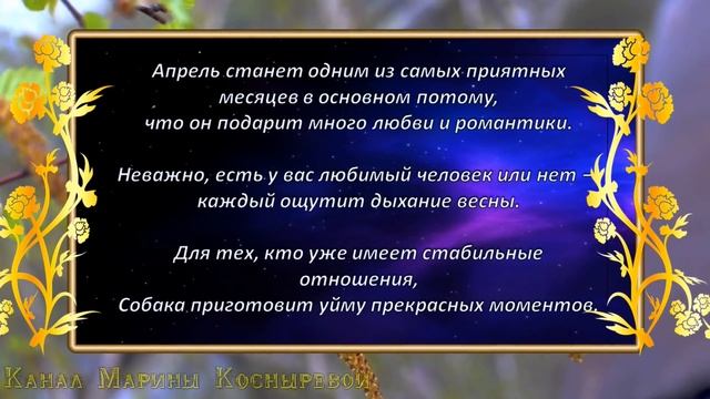 Гороскоп 2018. Видео. Узнай, какой будет этот #Новый год?