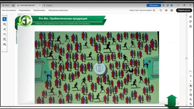 Пробиотики и пробиотическая косметика